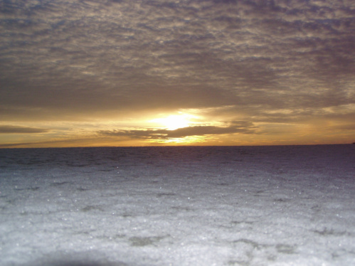 К юбилею парка «Эльтонский» проведут выставки и конкурсы