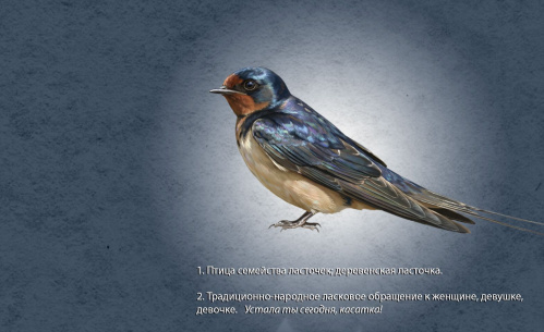 В Волгоградском молодёжном театре поставят «Касатку»