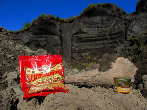 Фонды «Старой Сарепты» пополнятся экспонатами из Якутии