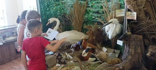 В Урюпинском краеведческом музее проводят экскурсии для детей