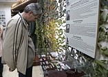 Волгоградцам покажут военные будни Сталинграда