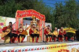 В Волгограде состоялся XI всероссийский фестиваль национальных культур «От Волги до Дона»