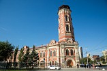 «Сохранить, чтобы помнить»: в Волгоградской области завершилась патриотическая акция 