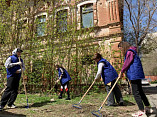 Комитет культуры Волгоградской области присоединится к общегородскому субботнику
