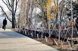 В Волгограде установят скульптуру «Девочка с аккордеоном», посвящённую Александре Пахмутовой