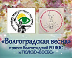 В Волгограде создадут фонд тактильных копий объектов историко-культурного наследия