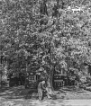 Волгоградцам покажут честную фотографию