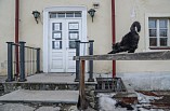 Сарепта объединяет усилия