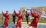 В Волгоградской области отметят праздник «Степной  тюльпан»