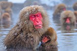В Музее Машкова откроется международная фотовыставка 