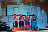 Творческие коллективы детской школы искусств Палласовского района показали своё мастерство