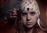 В Волгограде стартует прокат интеллектуального блокбастера о современных исследованиях мозга