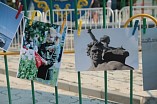 Волгоградцам предлагают выбрать лучшее фото