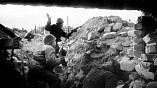 В столице Сербии откроется выставочный проект из Волгограда