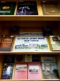 В Волгоградской детской библиотеке пройдёт праздник, посвящённый родному городу