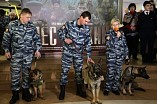 В Волгограде состоялась мировая премьера фильма «Пёс рыжий» В Волгограде состоялась мировая премьера фильма «Пёс рыжий»