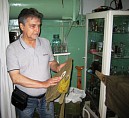 В Волгоградской области будут созданы два музея