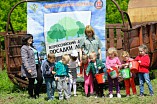 Волгоградская область присоединилась к акции «Всероссийский день посадки леса» 
