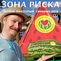 Вышел в свет четвертый номер журнала «Зона риска» за 2026 год