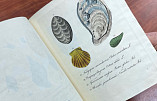 Волгоградская Горьковка оцифровала почти 200-летнюю книгу