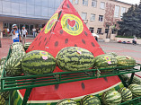 В Камышине провели Арбузный фестиваль в новом формате В Камышине провели Арбузный фестиваль в новом формате