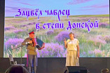 Педагог ВГИИКа выступил с концертом на межрегиональном фестивале казачьего фольклора