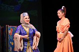 Музыкальный театр покажет «Кавказскую племянницу»