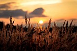 Вся область - в горсаду