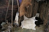 В «Старой Сарепте» появится «Жилище древнего человека»