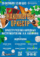 В Волгоградской филармонии познакомят с народными инструментами