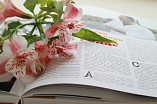 Волгоградская Горьковка рассказывает о своих авторских рубриках